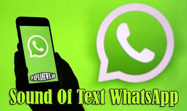 Sound Of Text WhatsApp 2021 (iPhone, Bayi, Jawa, BTS dan lainya)