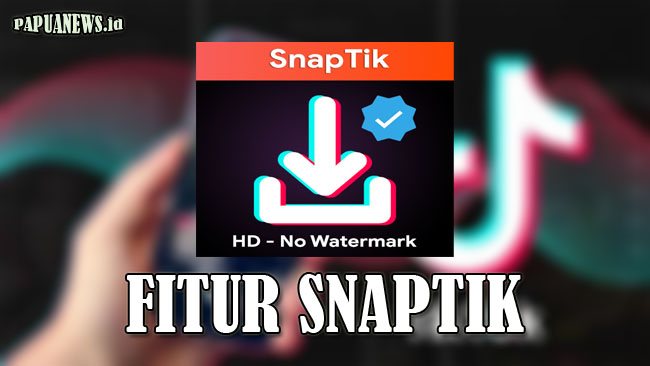 Snaptik Situs Download Video Tiktok Tanpa Watermark Terbaru 2021