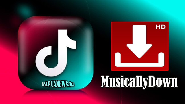 MusicallyDown - Download Video TikTok Tanpa Watermark dan MP3