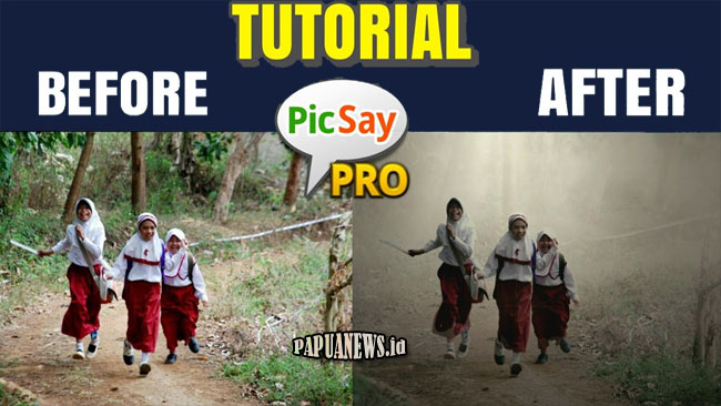 Download PicSay Pro APK Mod Full Unlocked Versi Terbaru 2021